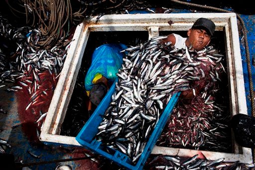 Many fishermen in Peru fear the modernization of the port may have a negative impact on their livelihood.