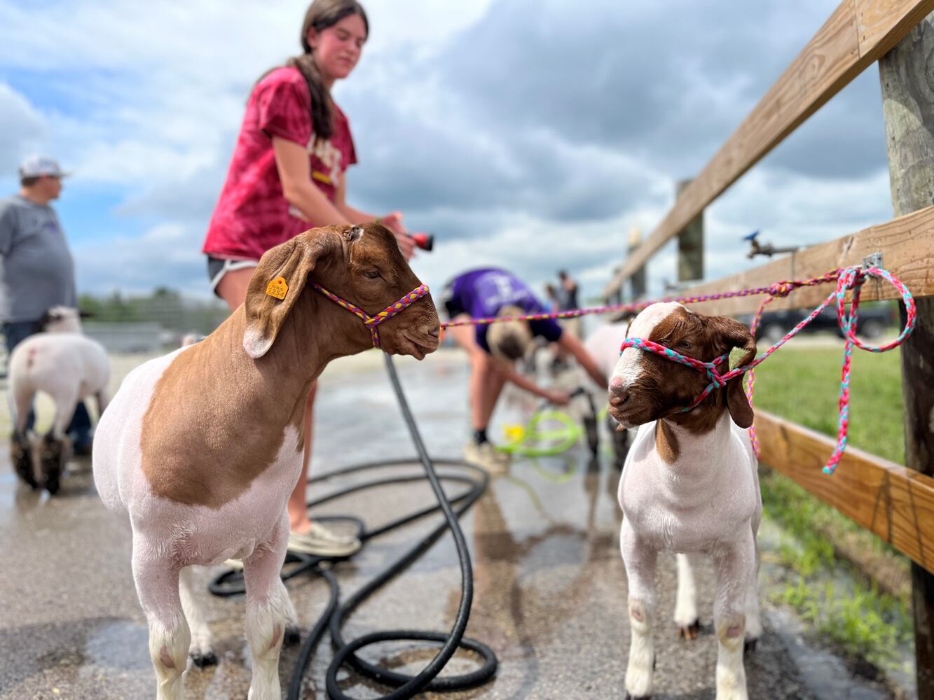 Montgomery County Fair