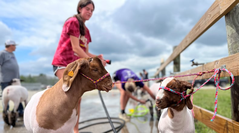 The 171st Montgomery County Fair got off to a smooth start on Sunday, July 9, 2023. CORNELIUS FROLIK / STAFF