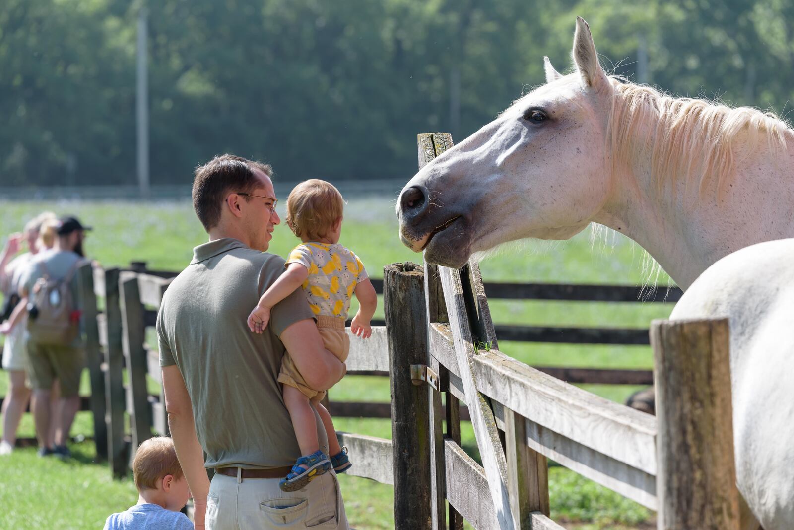Carriage Hill MetroPark will host the Small Farm & Food Fest on Saturday, Aug 2. TOM GILLIAM / CONTRIBUTING PHOTOGRAPHER