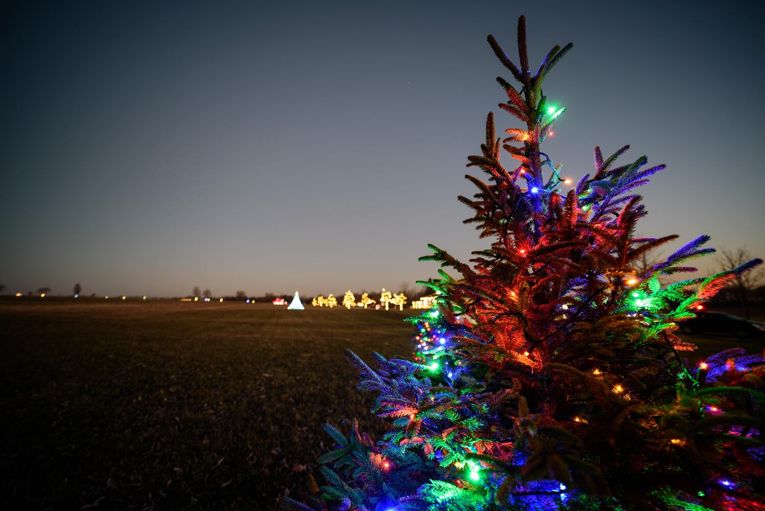 PHOTOS: Holiday Lights dazzle at Lost Creek Reserve in Troy
