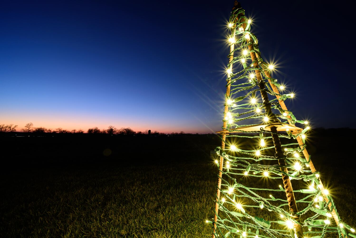PHOTOS: Holiday Lights dazzle at Lost Creek Reserve in Troy