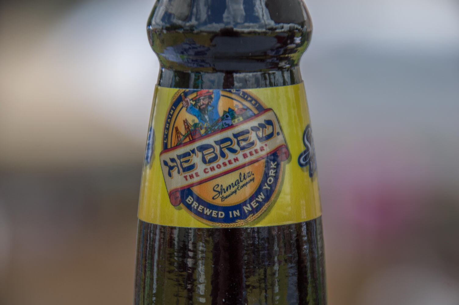 PHOTOS: Jewish Cultural Festival 2016