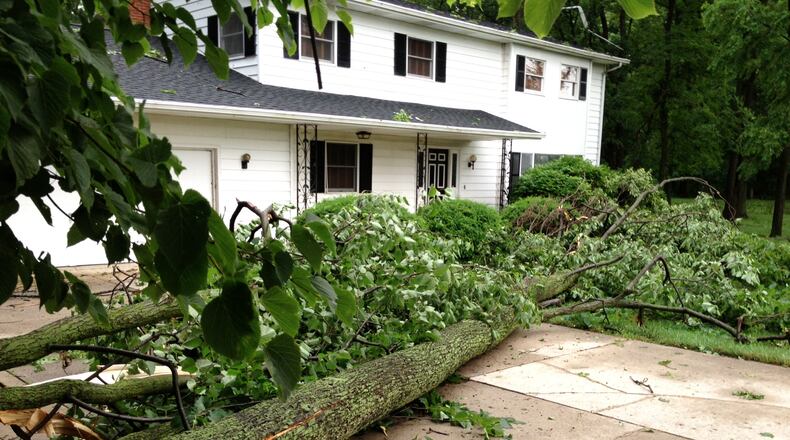 A tree fell very close to a house in Auglaize County early Thursday morning. Photo: Steve Baker