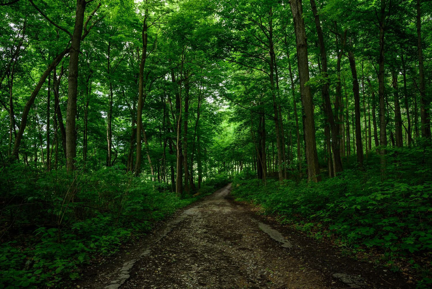 PHOTOS: Take a stroll through the hills at picturesque park