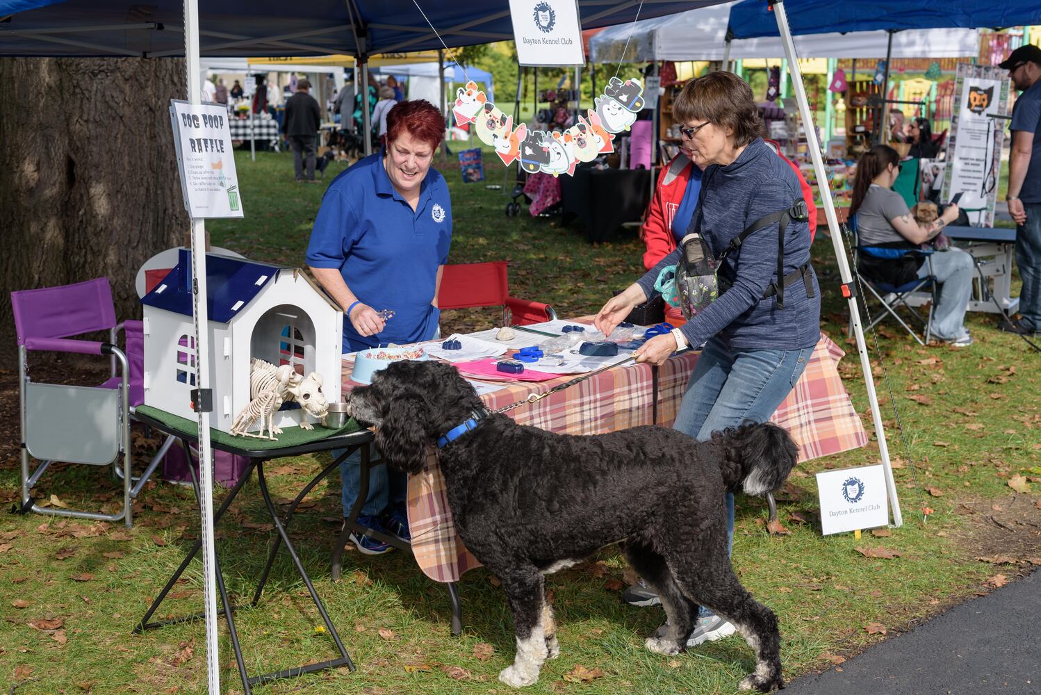 PHOTOS: 2025 PetFest at Delco Park