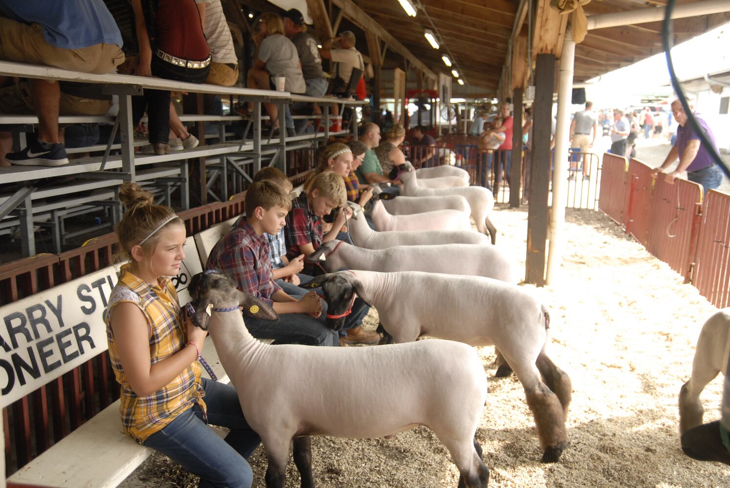 PHOTOS: Did we spot you at the Great Darke County Fair?
