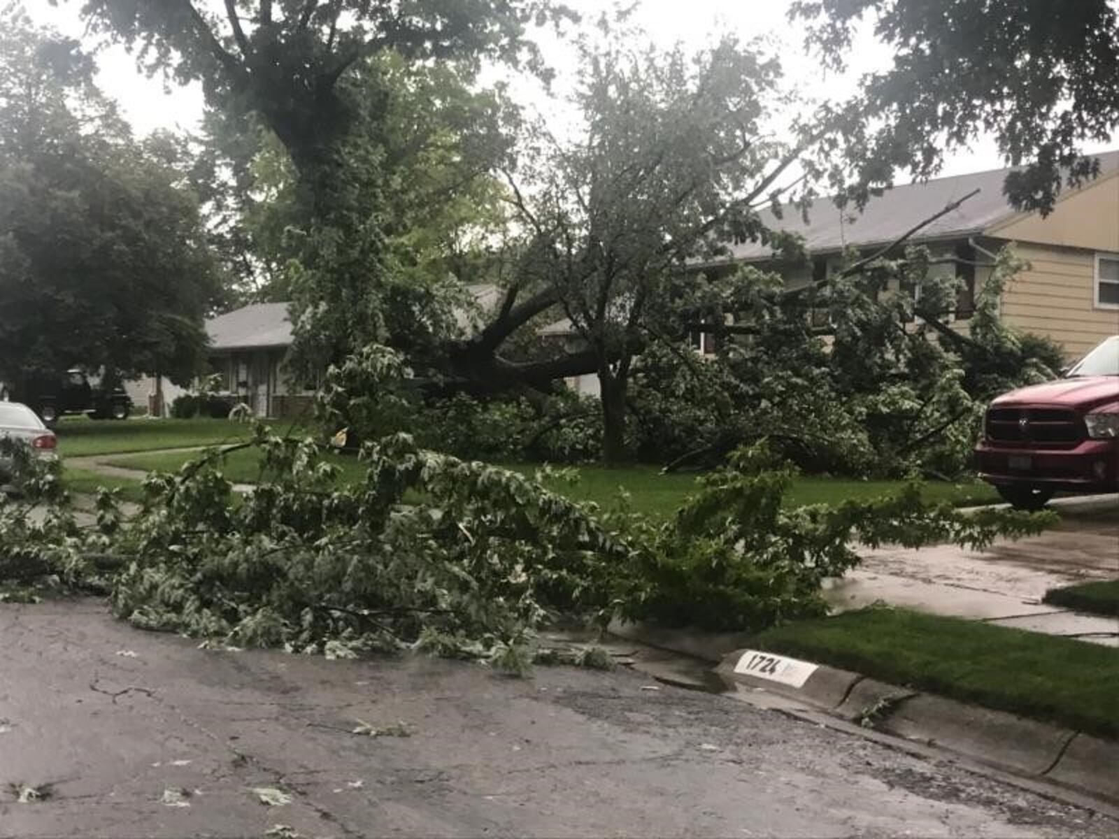 A downed tree can be seen in the 2900 block of Brewster Court in Springfield Saturday morning. (Angie Hess/Contributed)