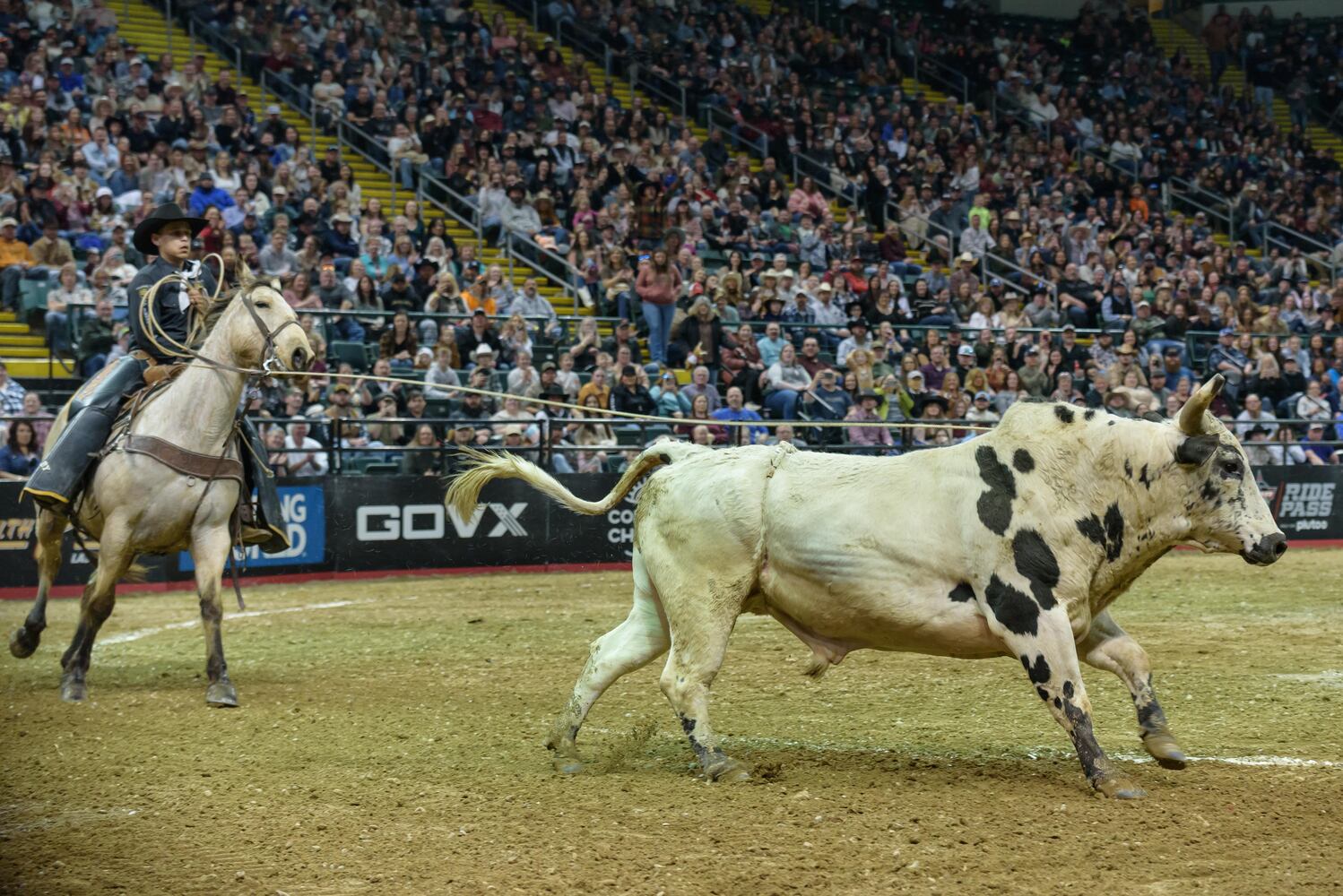 PHOTOS: Cooper Tires PBR Dayton Pendleton Whisky Velocity Tour at the Nutter Center