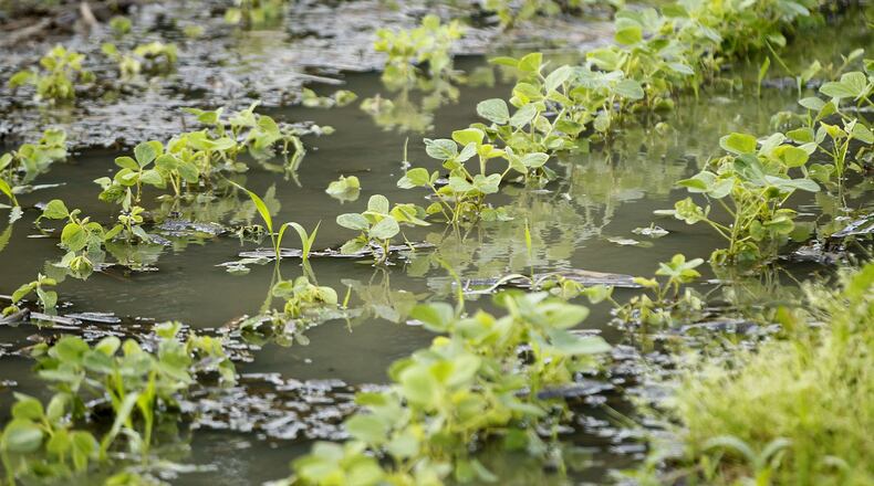 Heavy rain flooded a low spot in this soybean field along Hussey Road in Greene County over the weekend. The above average rainfall has pressured farmers who are already stressed with low crop prices, many of whom have not had dry enough ground to plant. TY GREENLEES / STAFF