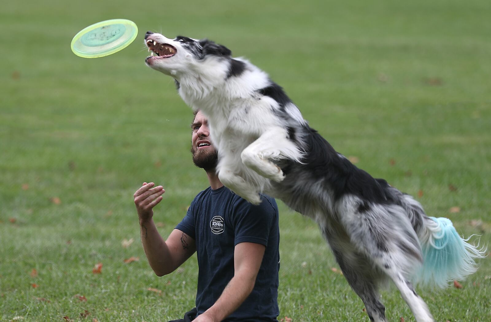 The Southern Ohio Flying K9s put on a demonstration Saturday during Wuffstock at Snyder Park.  BILL LACKEY/STAFF