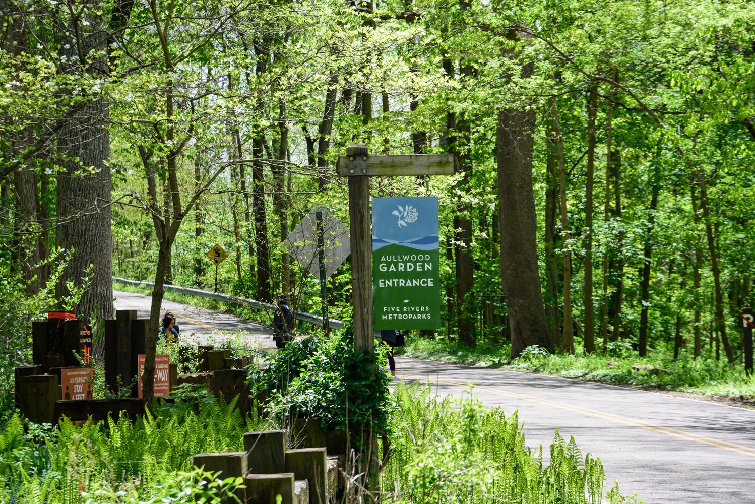 PHOTOS: Gorgeous Aullwood Garden is in full bloom