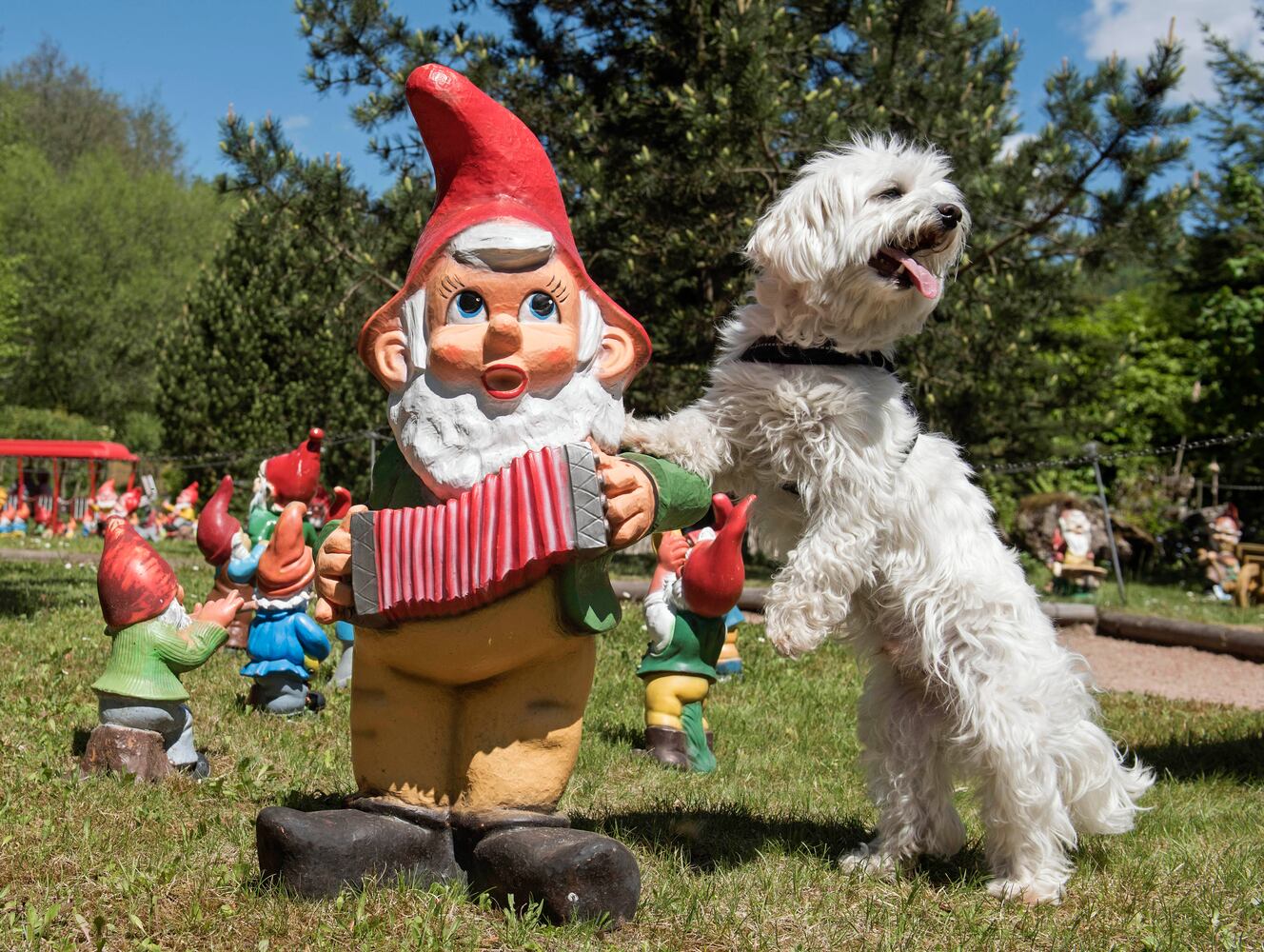 News hounds (5/21/15)