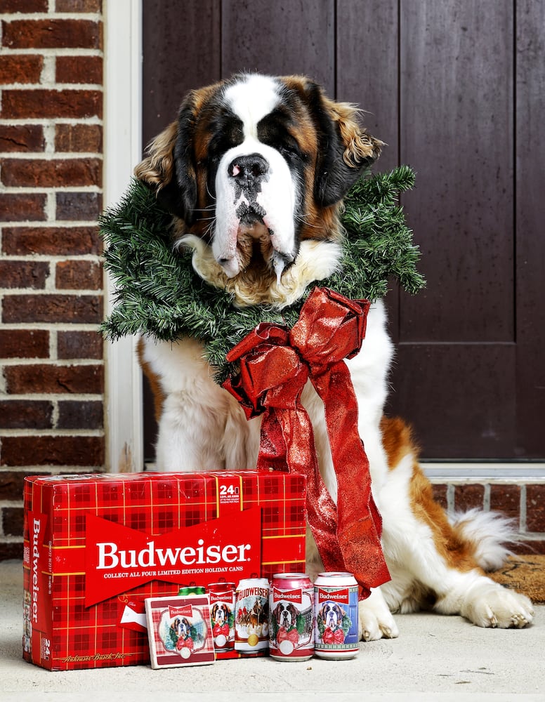 111821 beer dog