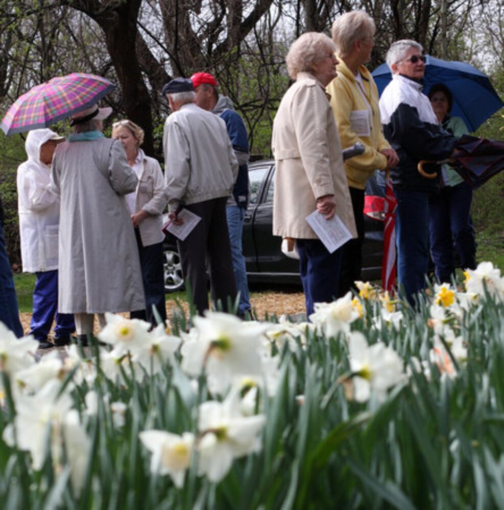Spring Bulb Festival