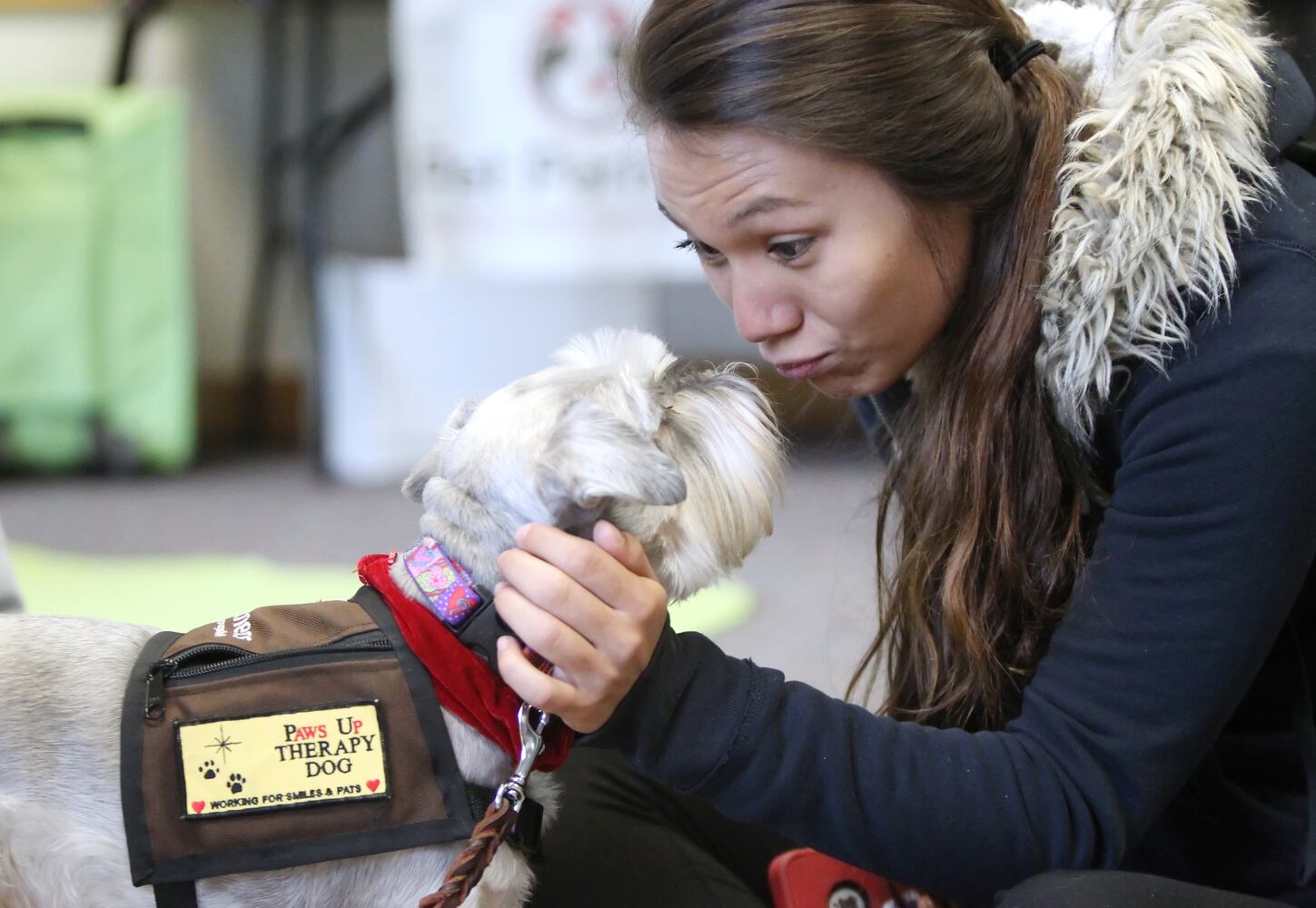 News hounds (12/12/2013)