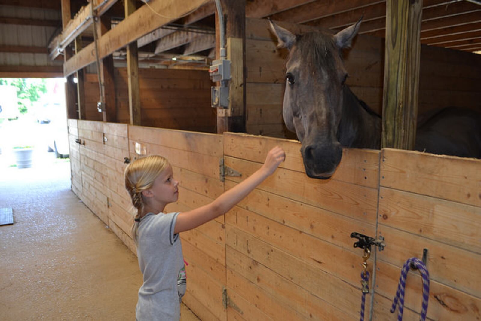 Carriage Hill MetroPark Riding Center offers a variety of opportunities to take the reins from relaxing guided trail rides to advanced adult and youth lessons. CONTRIBUTED PHOTO