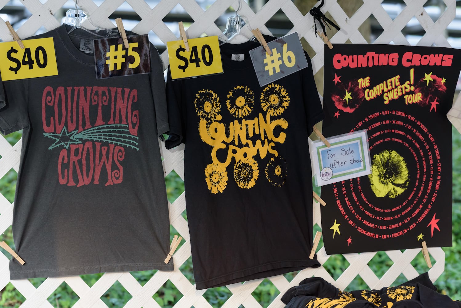 PHOTOS: Counting Crows & The Gaslight Anthem live at Fraze Pavilion