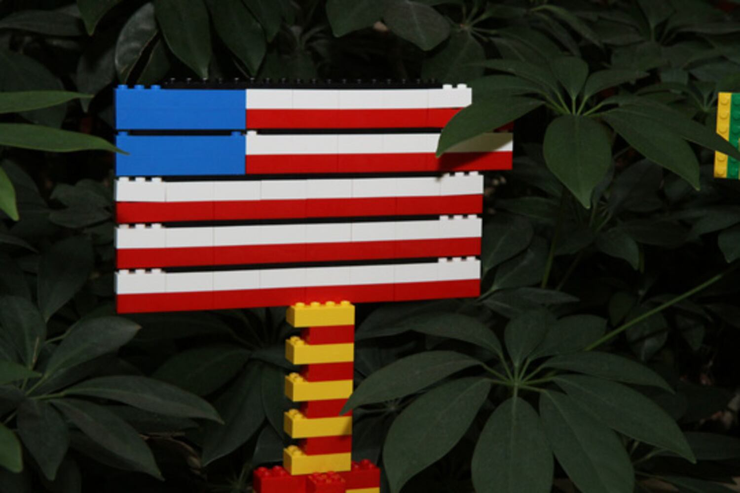 LEGO Master Builder Competition at Phipps