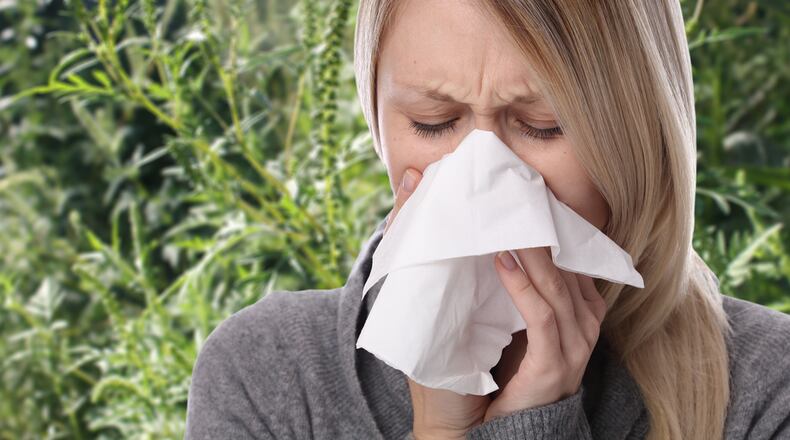 Warmer winters could lead to a sneeze-filled spring. CONTRIBUTED