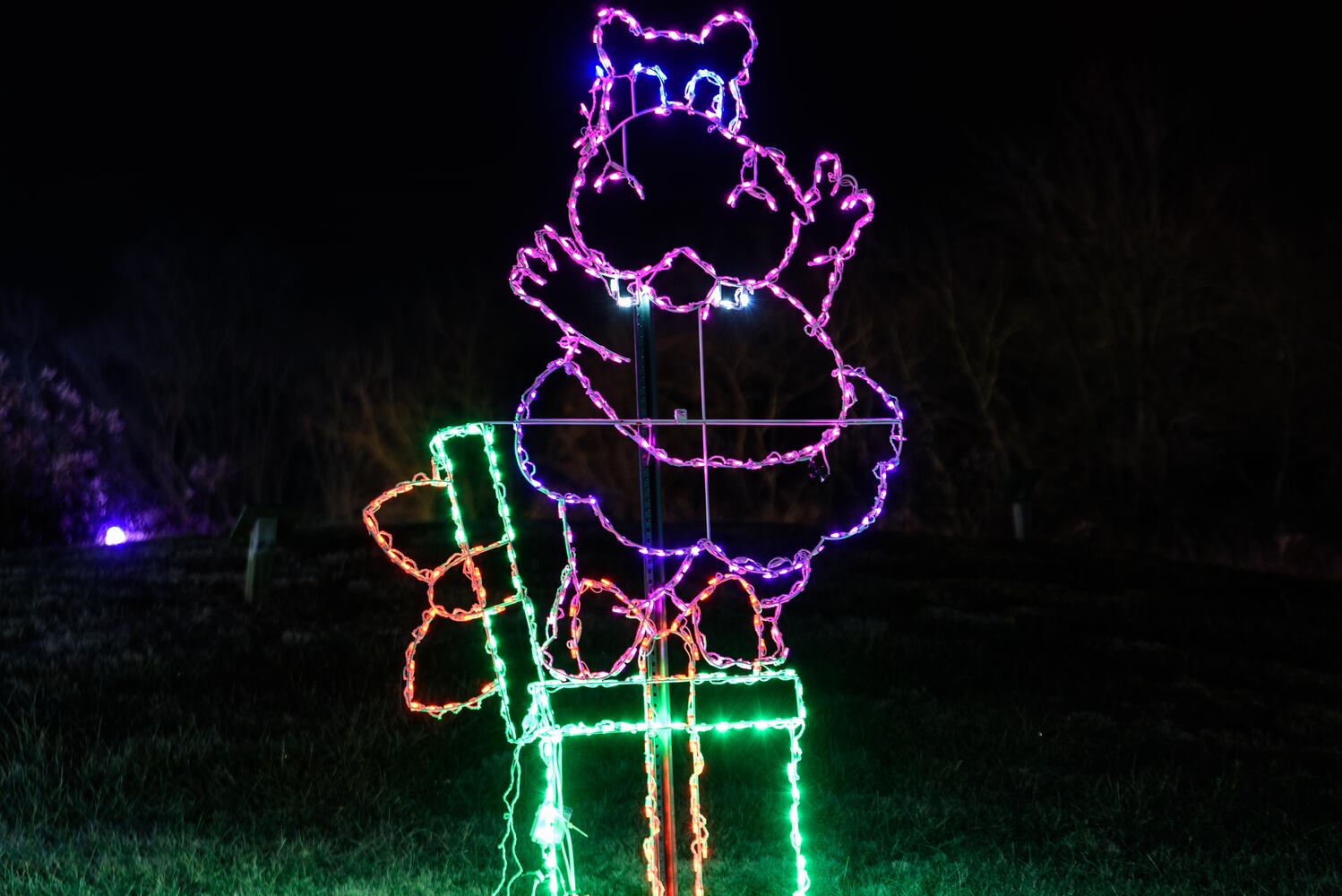 PHOTOS: ParkLights at Caesar Ford Park