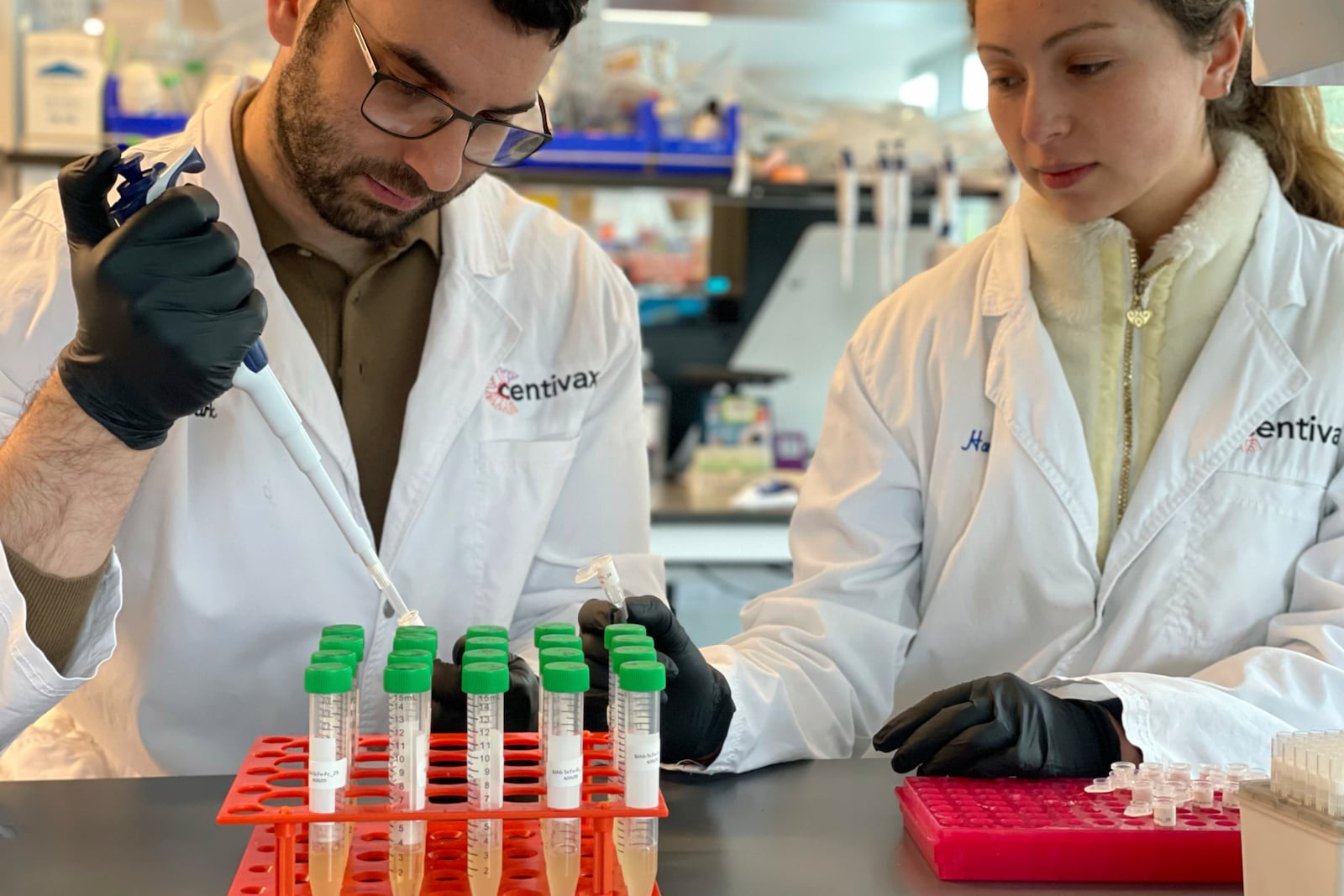 This photo provided by Centivax shows Mark Bellin and Hannah Hirou who are involved in efforts to produce an antivenom to counteract the bites of various snakes, at a lab in South San Francisco, Calif., in 2025. (Centivax via AP)