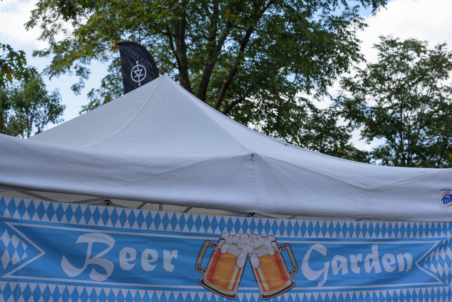 PHOTOS: Did we spot you at the Centerville Fall Fest at Stubbs Park?