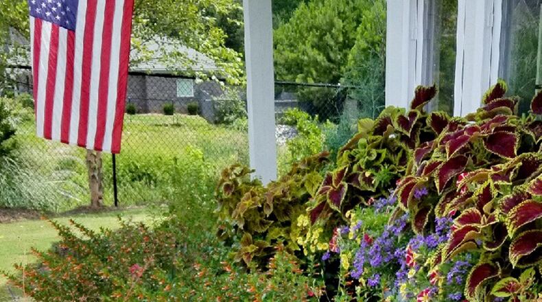 This window box planting seen in Phenix City, AL features Kong Junior Scarlet coleus for a summer of foliage beauty. (James Winter/TNS)