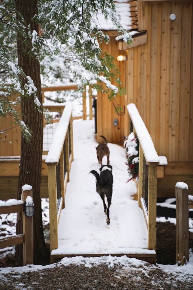 PHOTOS: Take a look at some of the stunning treehouses you can stay in near Hocking Hills