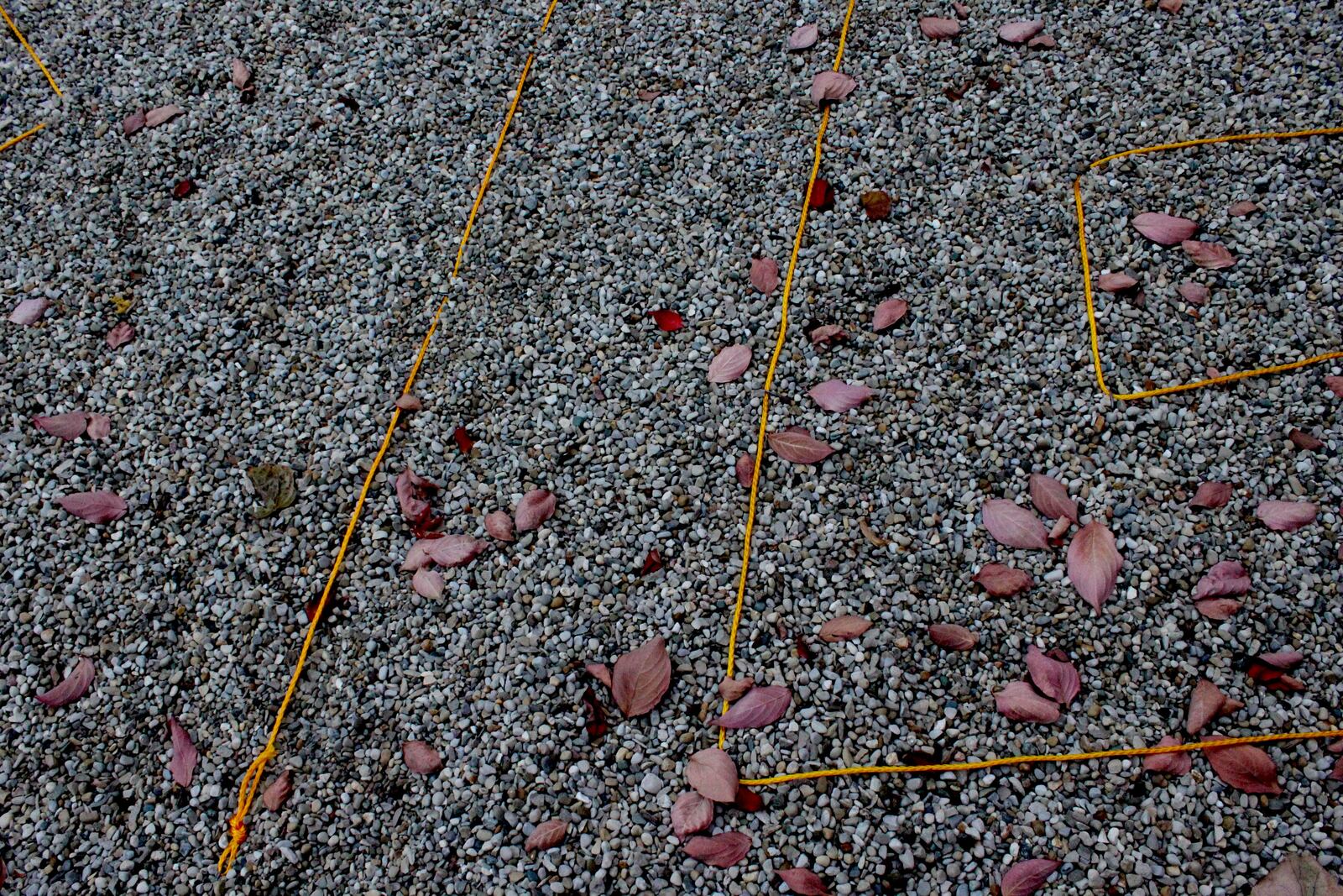 Christ Episcopal Church plans to open its Reconcilation Labyrinth this spring or summer. Yellow spring gives visitors an idea what the project will look like once complete. Photo: Amelia Robinson