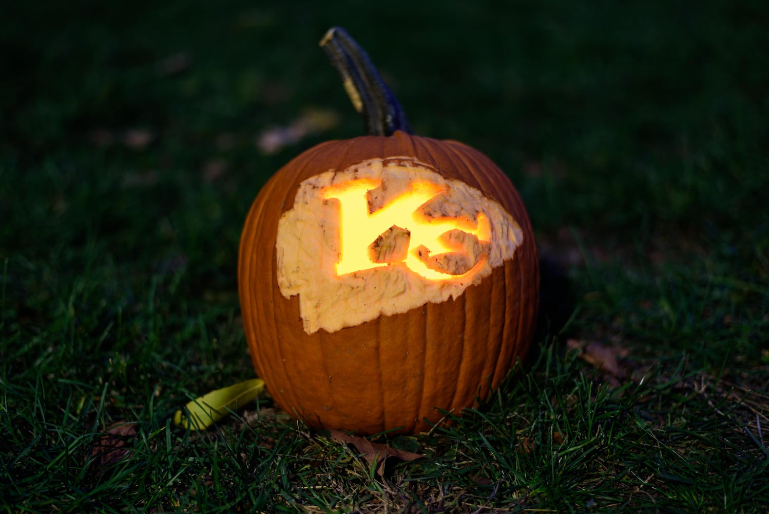 PHOTOS: 2025 Stoddard Avenue Pumpkin Glow