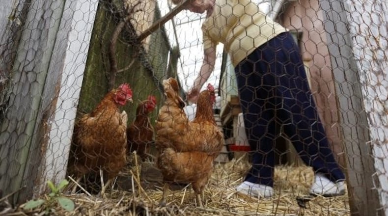 State lawmakers are considering a bill that would usurp local zoning rules against keeping small livestock, such as chickens or goats, in residential yards. COLUMBUS DISPATCH