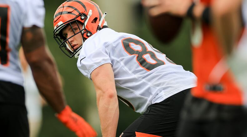 Cincinnati Bengals' Drew Sample runs a drill during NFL football practice in Cincinnati, Tuesday, June 8, 2021. (AP Photo/Aaron Doster)