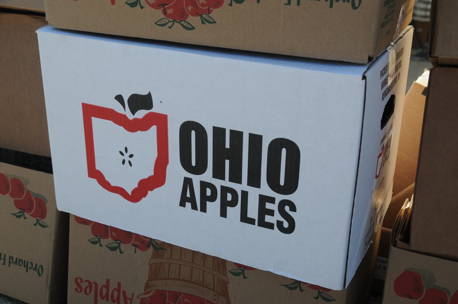 PHOTOS: Did we spot you at Lebanon Country Applefest?