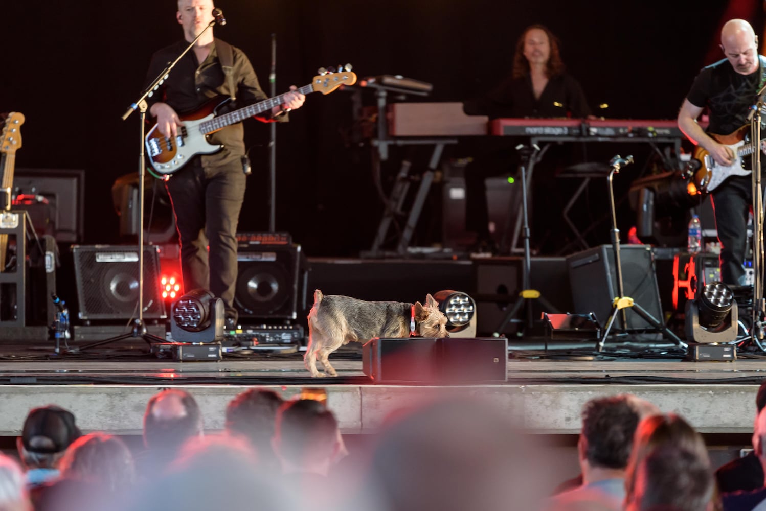 PHOTOS: Brit Floyd 'Wish You Were Here' live at Rose Music Center