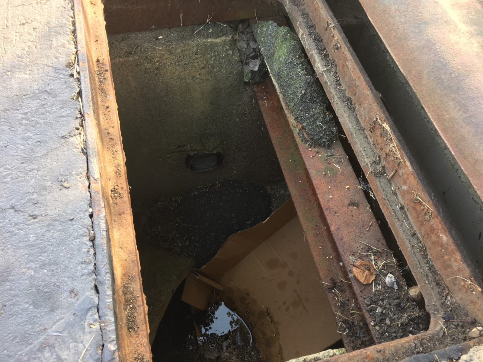 Storm drain on Cabbage Key Dr. in Miamisburg where a group of seven ducklings wandered into and fell approximately 15 feet.