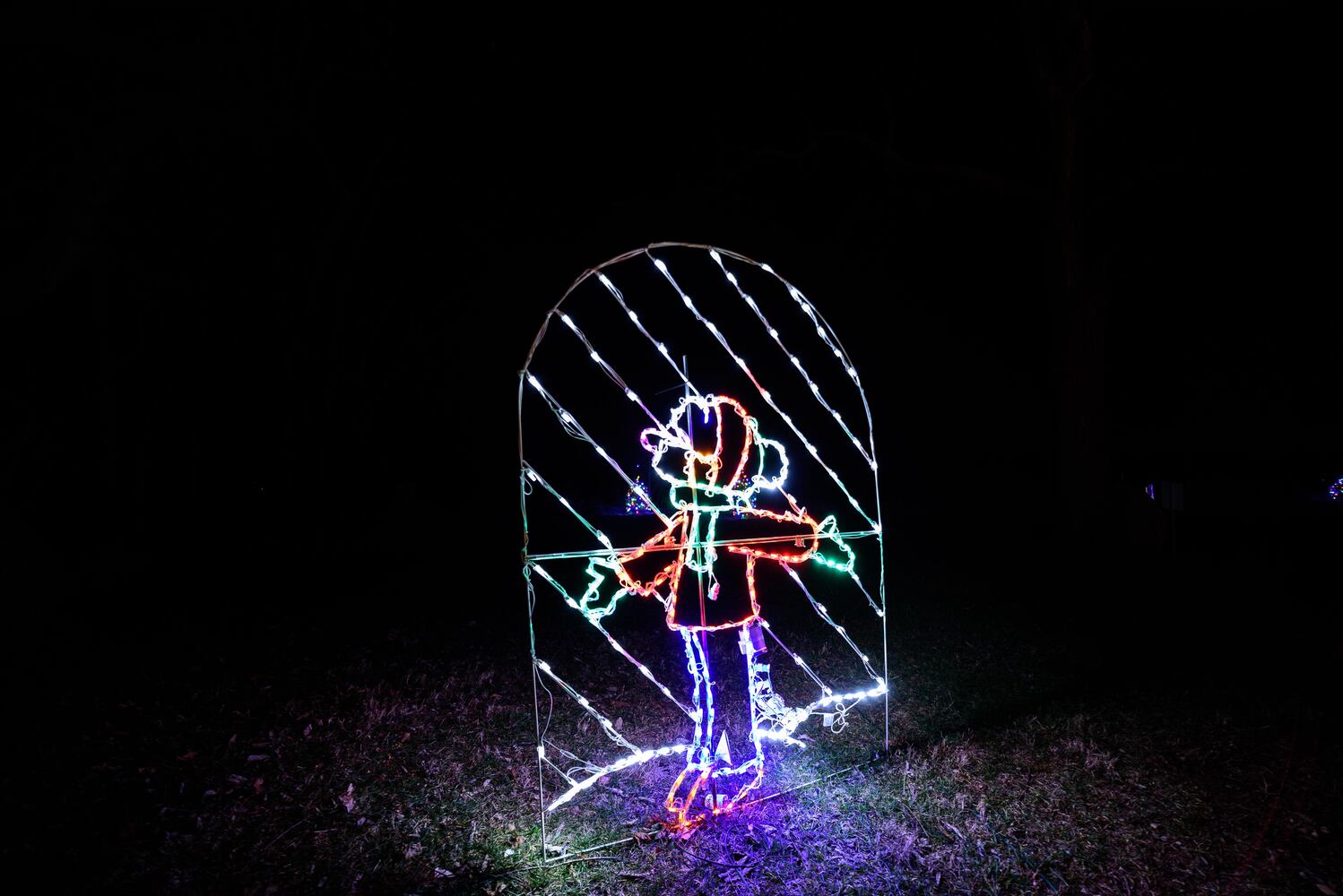 PHOTOS: Holiday Lights dazzle at Lost Creek Reserve in Troy