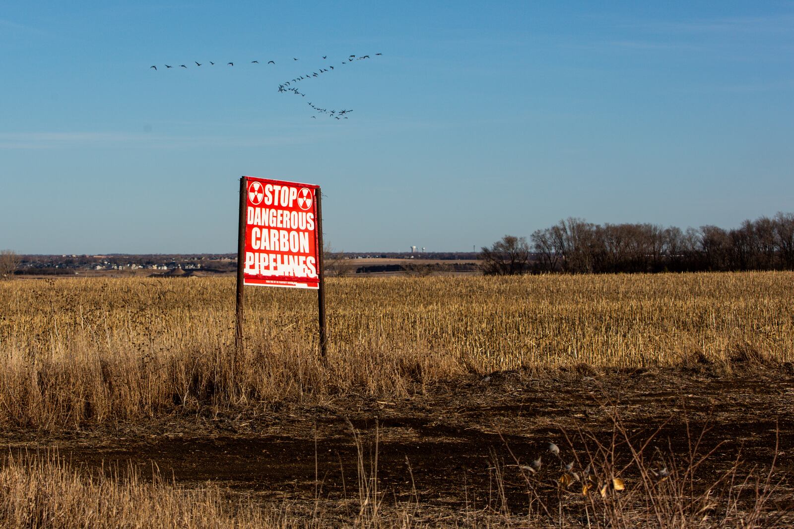 A sign protesting the installation of a Summit Carbon Solutions carbon pipeline stands on a farm in Lake County, S.D., on Monday, March 10, 2025. (AP Photo/Nicole Neri)