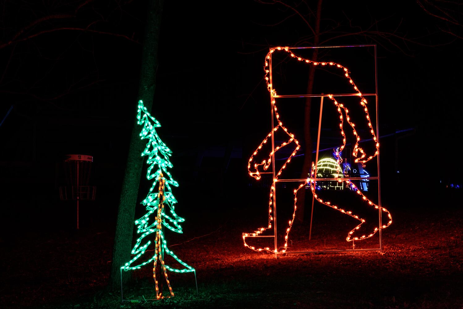 PHOTOS: ParkLights at Caesar Ford Park