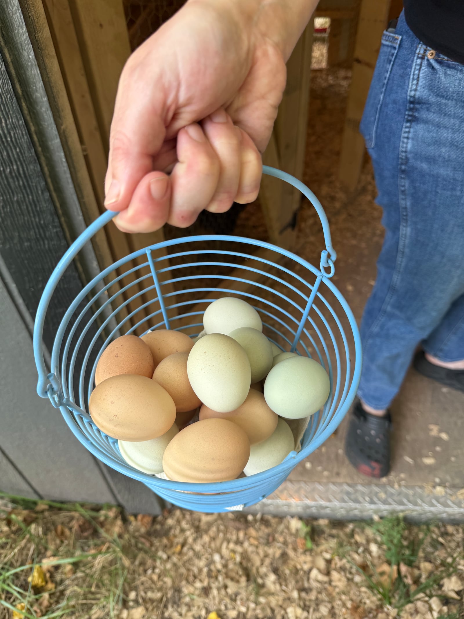 One of Charity Goode's morning tasks at The DURC is collecting fresh eggs. HANNAH KASPER/CONTRIBUTED