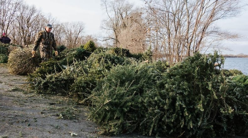 Five Rivers MetroParks reminds the public to remove all tinsel, lights, decorations, tree stands and plastic bags from Christmas trees prior to drop-off. CONTRIBUTED