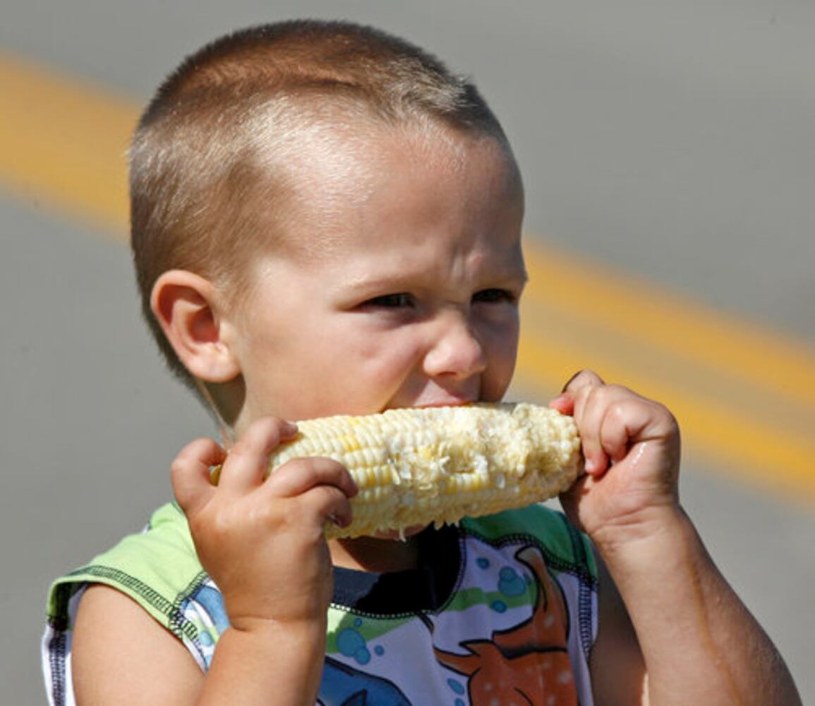 South Vienna Corn Festival