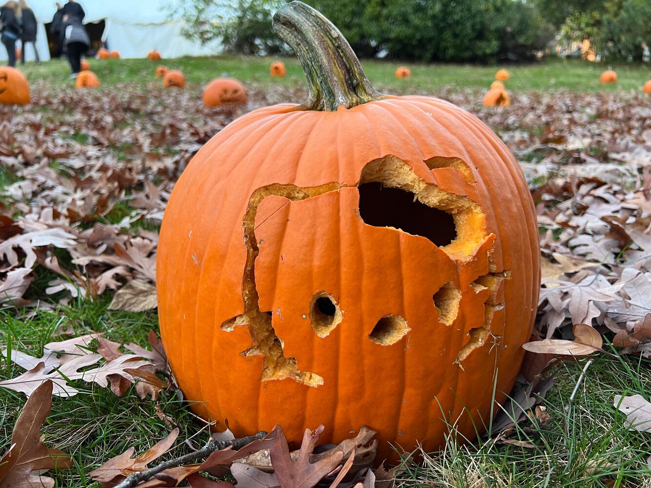 PHOTOS: The Stoddard Avenue Pumpkin Glow Night 1