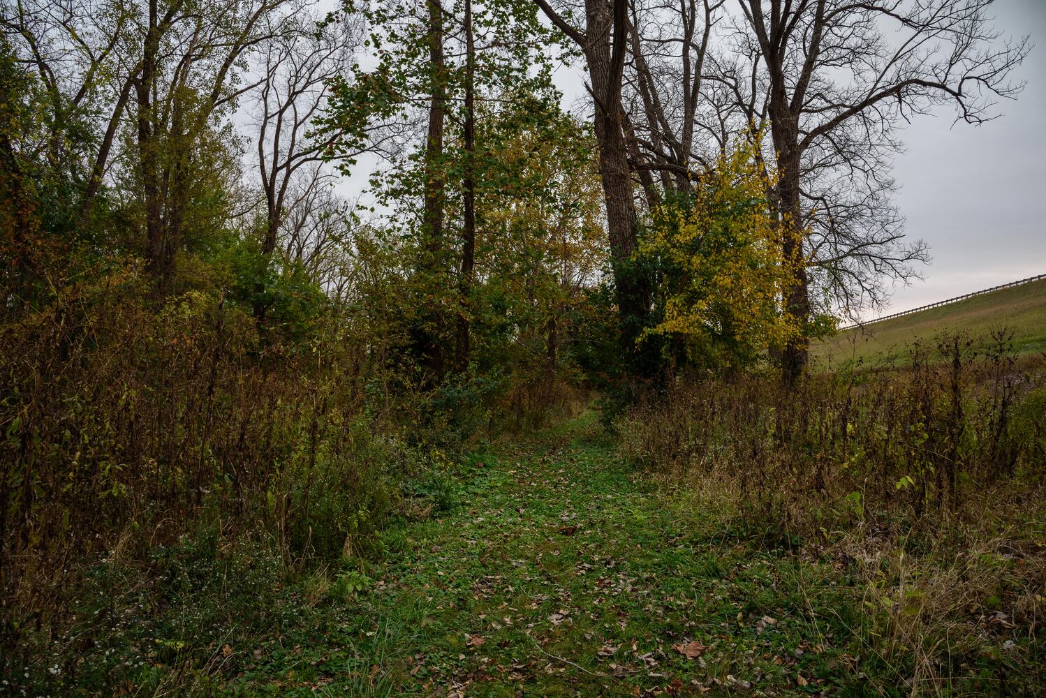 Huffman MetroPark in the fall