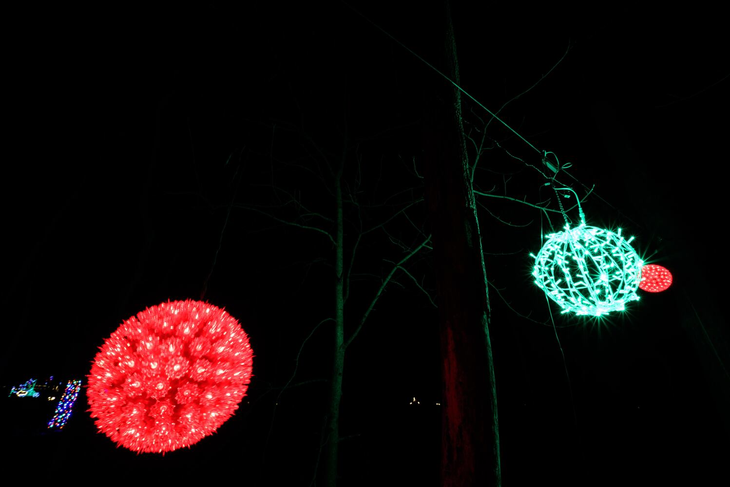 PHOTOS: Holiday Lights dazzle at Lost Creek Reserve in Troy