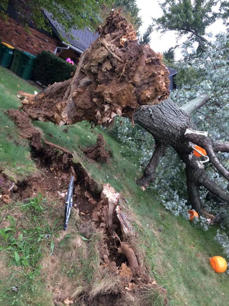 PHOTOS: Strong winds cause damage around the Miami Valley