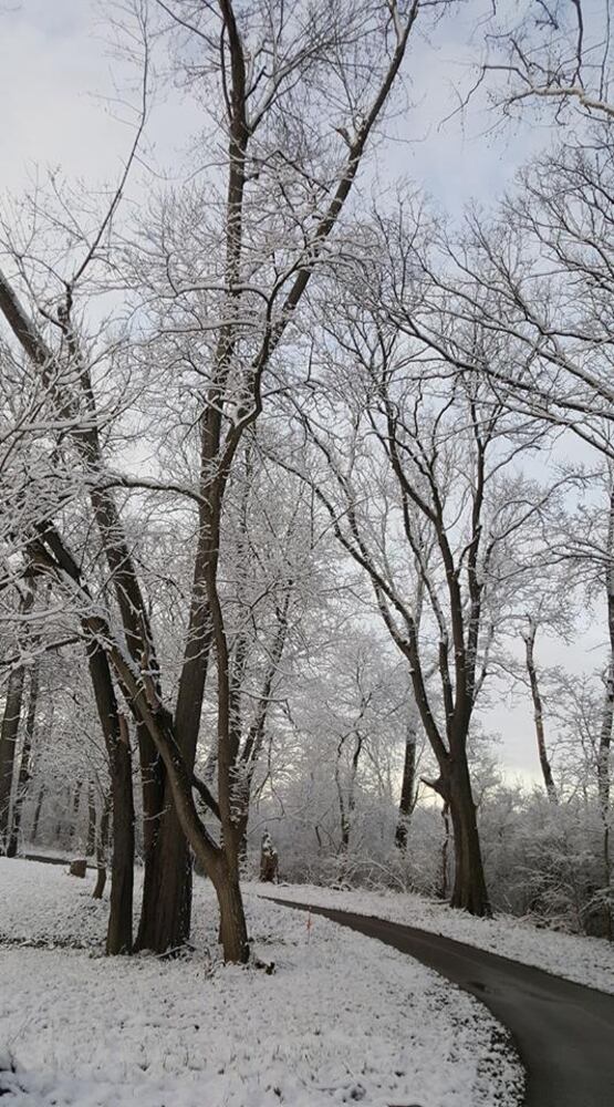 PHOTOS: Miami Valley gets a coating of snow  in April (User-submitted photo)