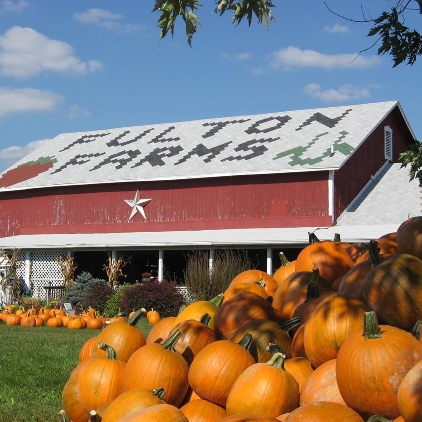 Fulton's Farm offer a huge selection of pumpkins, so you shouldn’t have trouble finding the right one for you. (Source: Facebook)