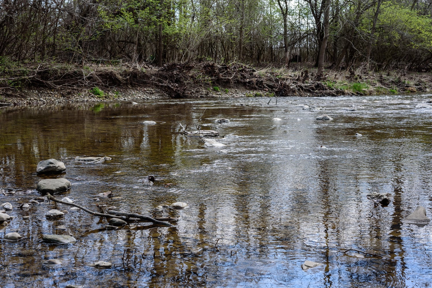 PHOTOS: Eggstravaganza at Lost Creek Reserve
