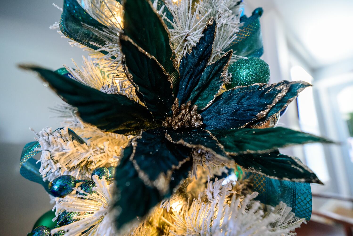 PHOTOS: A Dickens of a Christmas St. Anne’s Hill Holiday Home Tour 2024